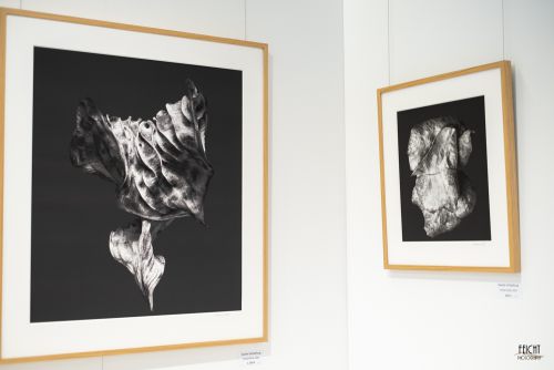 Künstler: Sebastian Fink