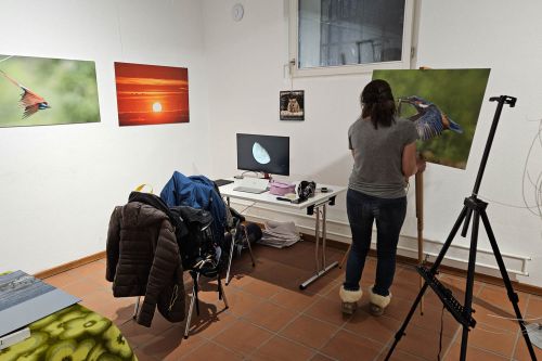 Workshopgruppe Wildlife in Olching