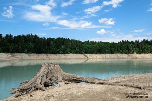Baumstumpf am "Ufer"