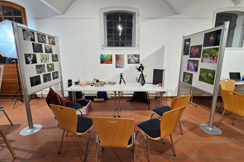 Workshopgruppe Makrofotografie