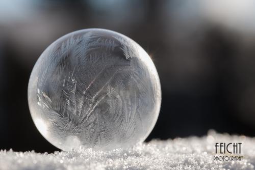 Filigrane Schönheit