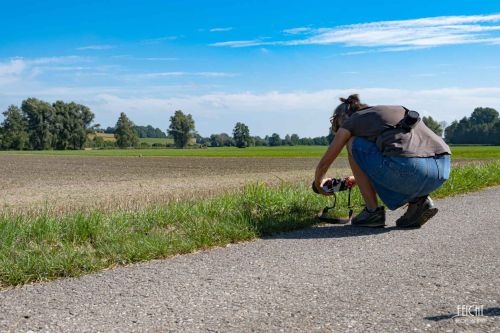 Verschiedene Perspektiven