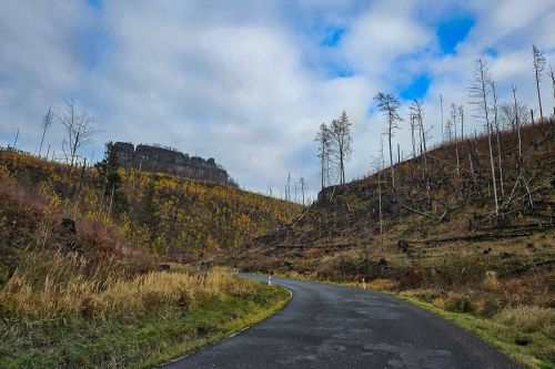 Tschechische Straße