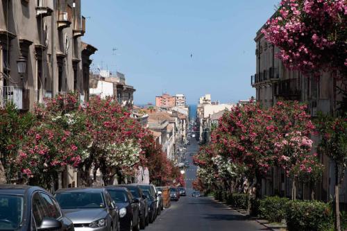 Straßenzug in Catania