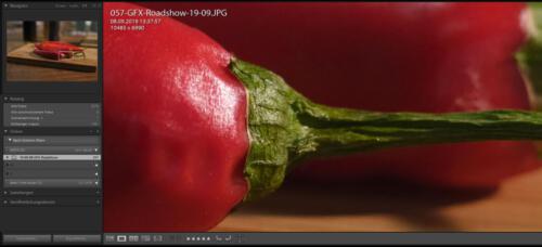 GFX100 63 mm | ISO 500 | f 3,2 | 1/160 sec.