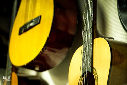 Gitarrensammlung