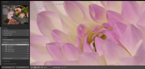 GFX100 63 mm | ISO 3.200 | f 7,1 | 1/160 sec.