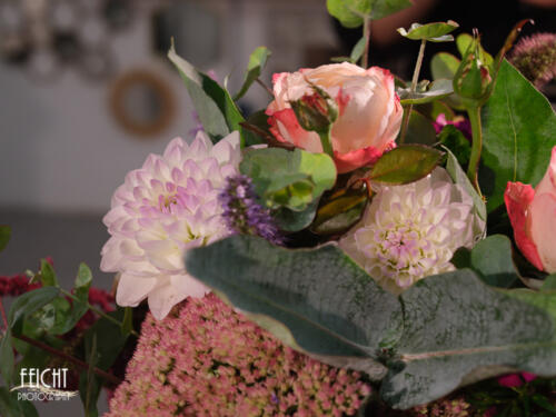 GFX100 63 mm | ISO 3.200 | f 7,1 | 1/160 sec.