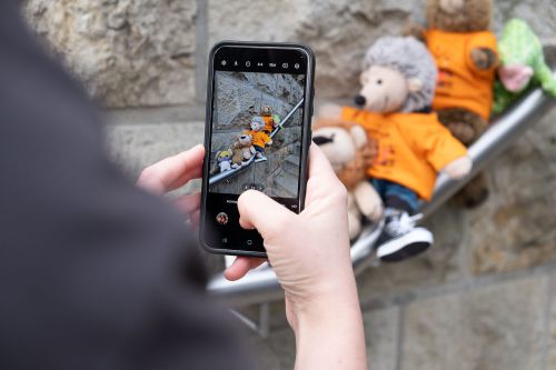 Plüschis als Models