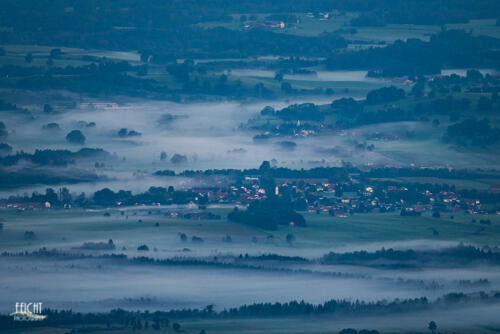 Nebel im Tal