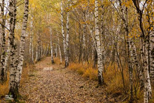 Wunderbare Herbststimmung