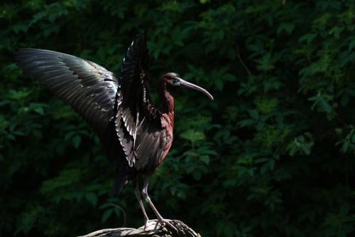 Das Leben ist schön