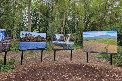 Bilder von Ulla Lohmann