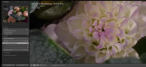 X-T2 35 mm | ISO 400 | f 1,8 | 1/500 sec.