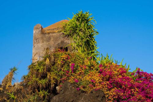 Die Natur ist überall