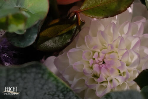 X-T2 35 mm | ISO 400 | f 1,8 | 1/500 sec.