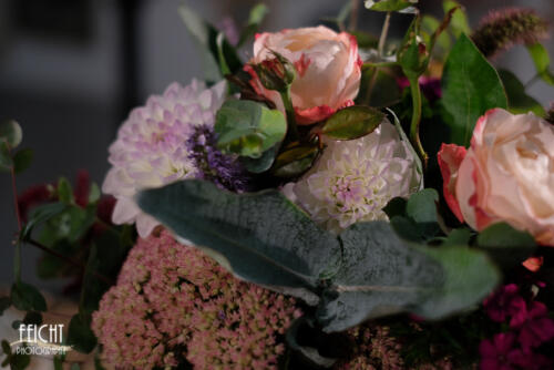 X-T2 35 mm | ISO 400 | f 1,8 | 1/500 sec.