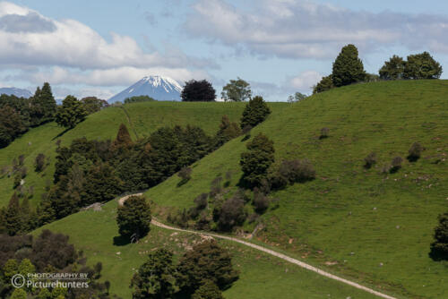 Blick Richtung Vulkan