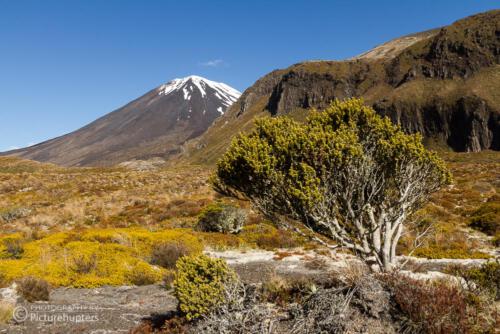 Tongariro-Nationalpark