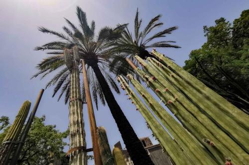 Im Botanischen Garten