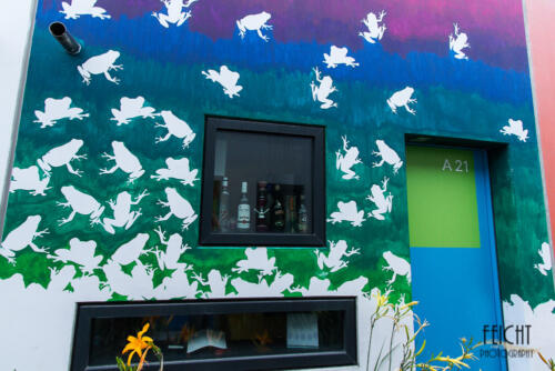 Frösche an der Wand