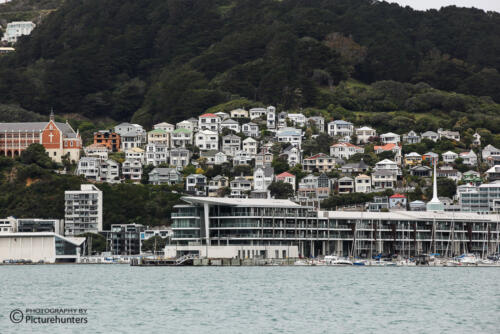 Wellington-Blick