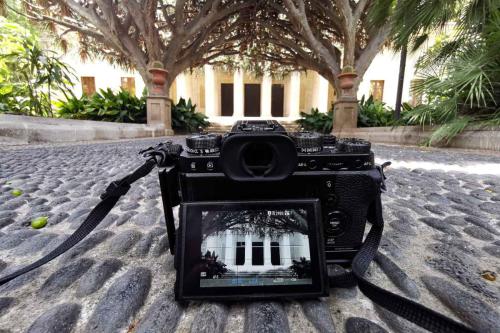 Die etwas andere Perspektive