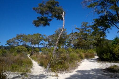 Im Abel Tasman-Park