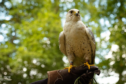Was gibt es zu sehen?