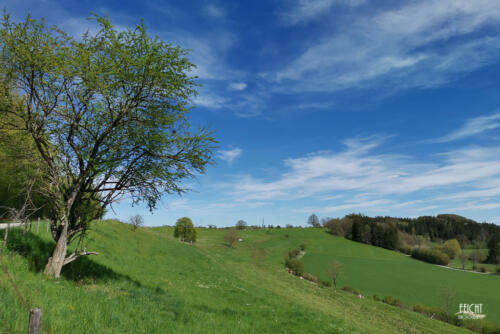 Zum nächsten Fotospot