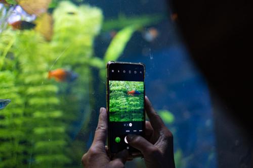 Geduldig auf Fische warten