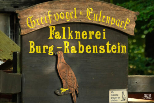 Falkenschau