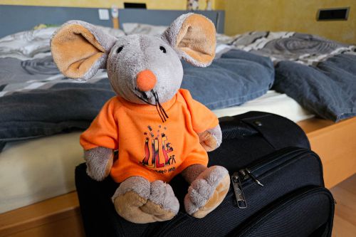 Knipsi geht auf Reisen