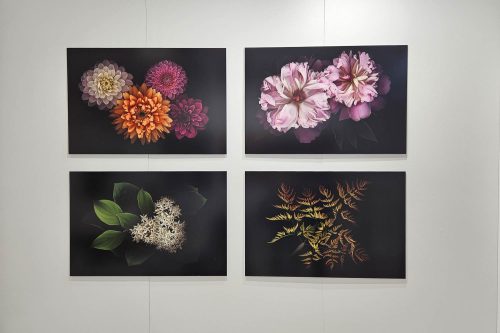 Die vier Hauptbilder