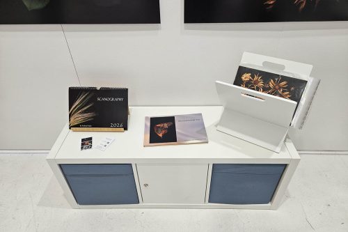 Verschiedene Kunstwerke