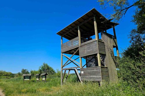 Aussichtsturm