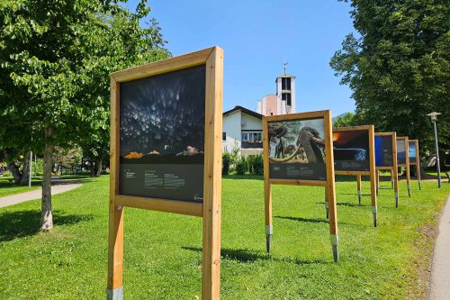 GDT-Ausstellung