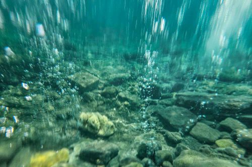 Unterwasser-Blubber