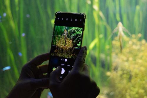 Handybilder müssen auch sein