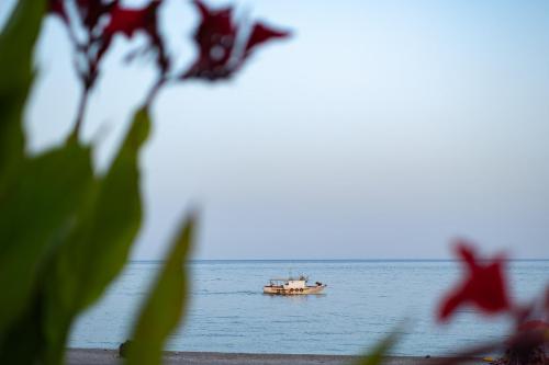 Ein Boot wird kommen