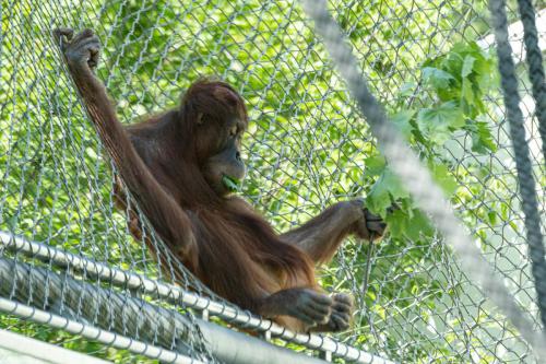 Ungewöhnlicher Sitzplatz