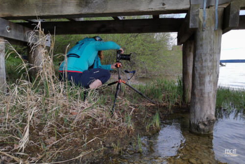 Bilder von unterm Steg