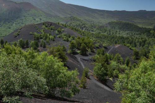 Wege durch die Vulkanlandschaft