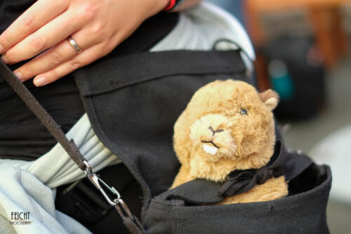 Maskottchen "Ulf" von Chrissy