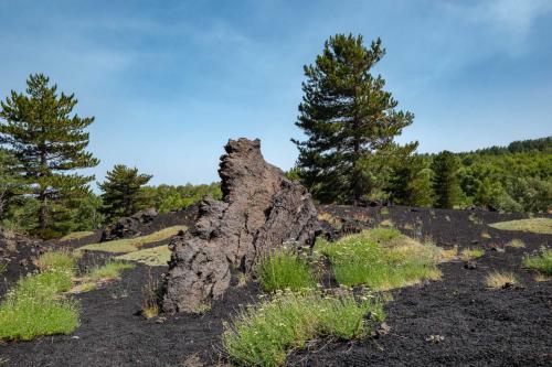 Fels in der Landschaft