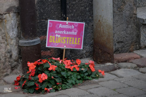 "Blühstelle"