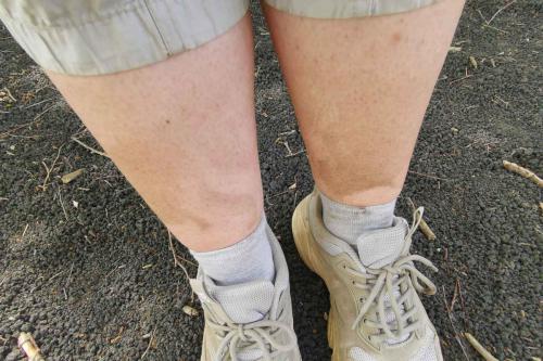 Alles ein bisschen staubig