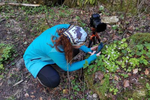 Bee beim Fotografieren