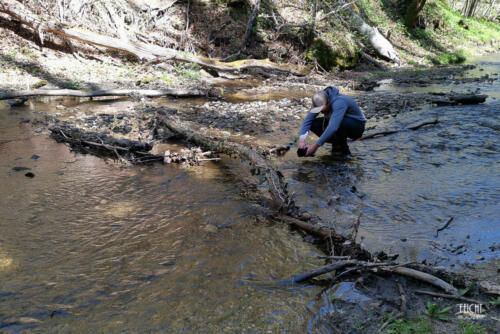 Michi bei der Arbeit