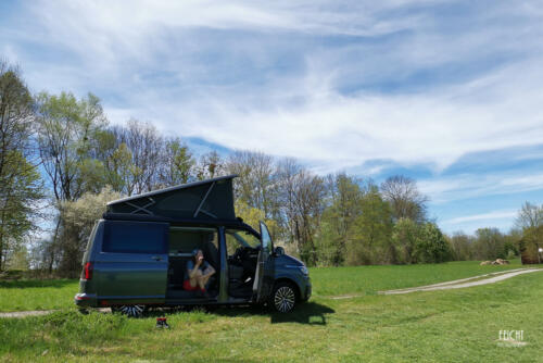 Roadee ist einfach gemütlich